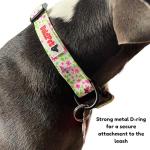 BOLDPET Dog Collar and Leash Set - Durable Polyester Material -Adjustable -Safe Metal Buckle-Cute Summer Dog Leash and Collar Set for Small, Medium and Large Dogs