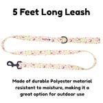 BOLDPET Dog Collar and Leash Set - Durable Polyester Material -Adjustable -Safe Metal Buckle-Cute Summer Dog Leash and Collar Set for Small, Medium and Large Dogs