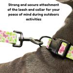 BOLDPET Dog Collar and Leash Set - Durable Polyester Material -Adjustable -Safe Metal Buckle-Cute Summer Dog Leash and Collar Set for Small, Medium and Large Dogs