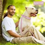 Dog Collars for Medium Dogs with Leash, Epesiri Spiked Dog Collar for Large Dogs, Girl Pink Dog Collar, Studded Rivet Pit Bull Leather Dog Collar Durable Cat Collar for Small Medium Large Pet Gift