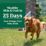 Nutro Natural Choice Adult Large Breed Dog Food Dry, Chicken & Brown Rice Recipe, 30 lb. Bag