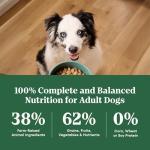 Nutro Natural Choice Adult Large Breed Dog Food Dry, Chicken & Brown Rice Recipe, 30 lb. Bag