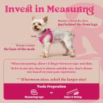 rabbitgoo Small Dog Harness, Step-in Soft Mesh Puppy Vest with Safety Buckle, Breathable Reflective Pet Harness for Small Sized Dogs, Rose Red S