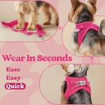 rabbitgoo Small Dog Harness, Step-in Soft Mesh Puppy Vest with Safety Buckle, Breathable Reflective Pet Harness for Small Sized Dogs, Rose Red S