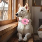 BRT Bearingshui Bling Rhinestone Leather Dog Collar and Leash Set, Soft Leather Sparkling Pink Dog Collar with Flower for Small Medium Female Dogs, S