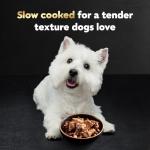 Cesar Wet Dog Food Loaf in Sauce Rotisserie Chicken, Filet Mignon, Angus Beef, and Ham & Egg Flavors Variety Pack, 3.5 oz. Easy Peel Trays (24 Count, Pack of 1)