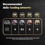 Cesar Wet Dog Food Loaf in Sauce Rotisserie Chicken, Filet Mignon, Angus Beef, and Ham & Egg Flavors Variety Pack, 3.5 oz. Easy Peel Trays (24 Count, Pack of 1)