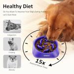 YINEYA 2PCS Slow Feeder Dog Bowls, Pet Supplies That Slow Down Eating, Pet Food Bowls, Maze Dog Puzzle Feeder for Medium Breed