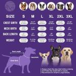 cyeollo 2 Pack Fleece Dog Sweater Stretchy Pullover Soft Dog Jacket with Reflective Stripe Lightweight Sweatshirt Pet Clothes Coats for Small Dogs Grey & Blue