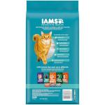 IAMS Proactive Health Indoor Weight Control & Hairball Care Adult Dry Cat Food, Salmon Recipe, 3.5 lb. Bag