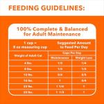 IAMS Proactive Health Indoor Weight Control & Hairball Care Adult Dry Cat Food, Salmon Recipe, 3.5 lb. Bag