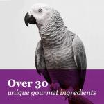 F.M. Brown's Tropical Carnival, Gourmet Macaw Food Big Bites for Big Beaks, Vitamin-Nutrient Fortified Daily Diet with Probiotics for Digestive Health, 5 lb