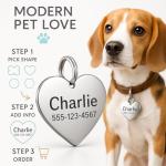 Dr. Fremont's Stainless Steel Custom Pet ID Personalized Engraved Identification Cat and Dog Tags with Custom Text, Many Shapes Including Bone, Heart, Circle (Classic Stainless Steel, Large Bone)