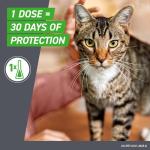 Frontline Plus Flea & Tick Treatment for Cats