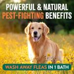 TropiClean Max Strength Flea & Tick Shampoo for Dogs