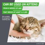 Frontline Plus Flea & Tick Treatment for Cats