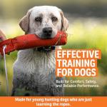 SportDOG Brand Canvas Dummies - Hunting Dog Training Tool - Weighted Bumper for Easy Throwing - Readily Holds Game Scent - Floats - Puppy - Orange