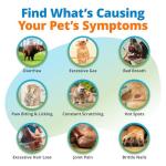 5Strands Pet Food Intolerance, Environmental & Heavy Metal Sensitivity, and Nutritional Imbalance Test, 1036 Items Tested, Cat & Dog Gut Health Test for All Breeds & Ages, Results in 4 Days