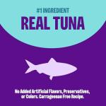 Wellness Complete Health Pate Senior Wet Cat Food, Natural, Protein-Rich, Grain Free, 3 Ounce, 24 Pack, (Tuna & Salmon Age Advantage)