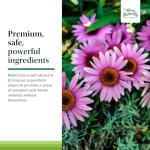 Terry Naturally Calming Formula - Calming Supplement for Dogs - Pet Support for Dog Health - Animal Formula for Stress & Relaxation Support - 45 Tablets