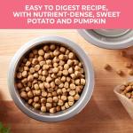 Nature’s Recipe Grain Free Salmon, Sweet Potato & Pumpkin Recipe Dry Dog Food, 24 lb. Bag