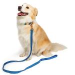 Ewinoom Soft Corduroy Dog Collar and Leash Set Adjustable Durable Dog Collars with Metal Buckle and Lead for Medium Dogs,Royal Blue