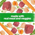 Purina Beneful High Protein, Gravy Wet Dog Food Variety Pack, Chopped Blends - (Pack of 12) 10 oz. Tubs