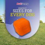 Ruff Dawg Indestructible Bouncing Cube Dog Toy