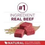 Purina ONE Small Bites Beef and Rice Formula Small High Protein Dry Dog Food Natural With Added Vitamins, Minerals and Nutrients - 31.1 lb. Bag