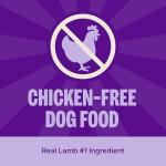 Wellness Natural Pet Food Simple Natural Limited Ingredient Dry Dog Food, Lamb and Oatmeal Recipe, 26-Pound Bag