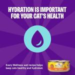 Wellness Complete Health Pate Kitten Wet Cat Food, Natural, Protein-Rich, Grain Free, 3 Ounce, 24 Pack, (Chicken)
