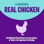 Wellness Complete Health Pate Kitten Wet Cat Food, Natural, Protein-Rich, Grain Free, 3 Ounce, 24 Pack, (Chicken)