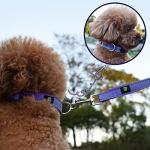 NESTROAD Reflective Dog Collar and Leash Set,Soft Neoprene Pet Collar with Quick Release Buckle,Adjustable Nylon Dog Collars for Small Medium Large Dogs(Medium Collar + 5FT Leash,Purple)