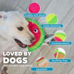 Outward Hound Tough Skinz Durable Squeaky Dog Toy with Two Tough Layers, Watermelon, Red, Medium