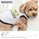 2Pack Puppy Shirts for Small Dogs Boy, Puppy Clothes for Male, Pet Clothes, Lightweight & Breathable Pet T Shirt, Dog Clothes, Chihuahua & Teddy & Yorkies & Dachshund &Teacup Top Tank (Large)