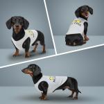 2Pack Puppy Shirts for Small Dogs Boy, Puppy Clothes for Male, Pet Clothes, Lightweight & Breathable Pet T Shirt, Dog Clothes, Chihuahua & Teddy & Yorkies & Dachshund &Teacup Top Tank (Large)