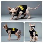 2Pack Puppy Shirts for Small Dogs Boy, Puppy Clothes for Male, Pet Clothes, Lightweight & Breathable Pet T Shirt, Dog Clothes, Chihuahua & Teddy & Yorkies & Dachshund &Teacup Top Tank (Large)