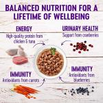 Wellness Healthy Indulgence Gravy Adult Wet Cat Food, Natural, Protein-Rich, Grain Free, 3 Ounce Pouch, 8 Pack, (Gravy Variety Pack)