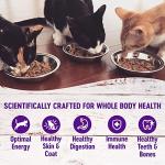 Wellness Healthly Indulgence Morsels Adult Wet Cat Food, Natural, Protein-Rich, Grain Free, 3 Ounce Pouch, 24 Pack, (Chicken & Turkey)