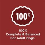 Purina Dog Chow Complete Adult Dry Dog Food Kibble Beef Flavor - 18.5 lb. Bag