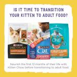 Purina Kitten Chow Dry Cat Food