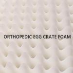 Patas Lague Orthopedic Dog Bed Large Sized Dog 36''X24'', Waterproof Soft Comfortable Egg Crate Foam Large Pet Beds Crate Mat with Removable Washable Cover and Nonskid Bottom, Black