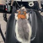 3 Pack Rat Harness and Leash - Adjustable Soft Leather Small Animal Harness Leash Traction Rope Anti-Bite Chain Training Walking Vest Accessories for Squirrel Reptile (Brown)