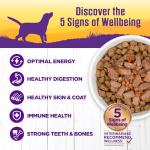 Wellness Complete Health Thick & Chunky Natural Canned Wet Dog Food, Turkey Stew, 12.5-Ounce Can (Pack of 12)