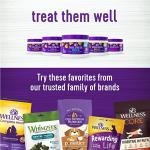 Wellness Grilled Chicken Flavored Soft Chews Hip & Joint Health Supplements for Dogs, 45 Count