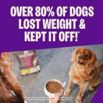 Wellness CORE Dry Dog Food, Small Breed, Grain-Free, High Protein, Natural, Healthy Weight Turkey & Chicken Recipe, (4-Pound Bag)