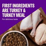 Wellness CORE Dry Dog Food, Small Breed, Grain-Free, High Protein, Natural, Healthy Weight Turkey & Chicken Recipe, (4-Pound Bag)