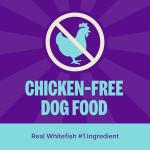 Wellness Complete Health Dry Dog Food with Grains, Natural Ingredients, Made in USA with Real Meat, All Breeds, For Adult Dogs (Whitefish & Sweet Potato, 5-Pound Bag)