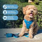 Best Pet Supplies Voyager Mesh Dog Breathable Harness Reflective Stitching, All Weather Adjustable for Walking Training, or Running - Heavy Duty & Durable, Harness (Turquoise), M