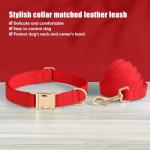 PET ARTIST Soft PU Leather Dog Collar and Leash Set, Bright & Stylish 5FT PU Leather Leash and Collar Set, Durable Pet Collars with Quick Release Metal Buckle for Medium Dogs,Red,M(13-19")
